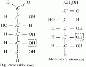 monosaccaridi