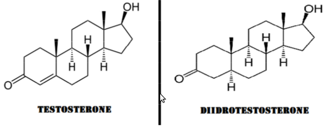 testosterone-diidrotestosterone differenza